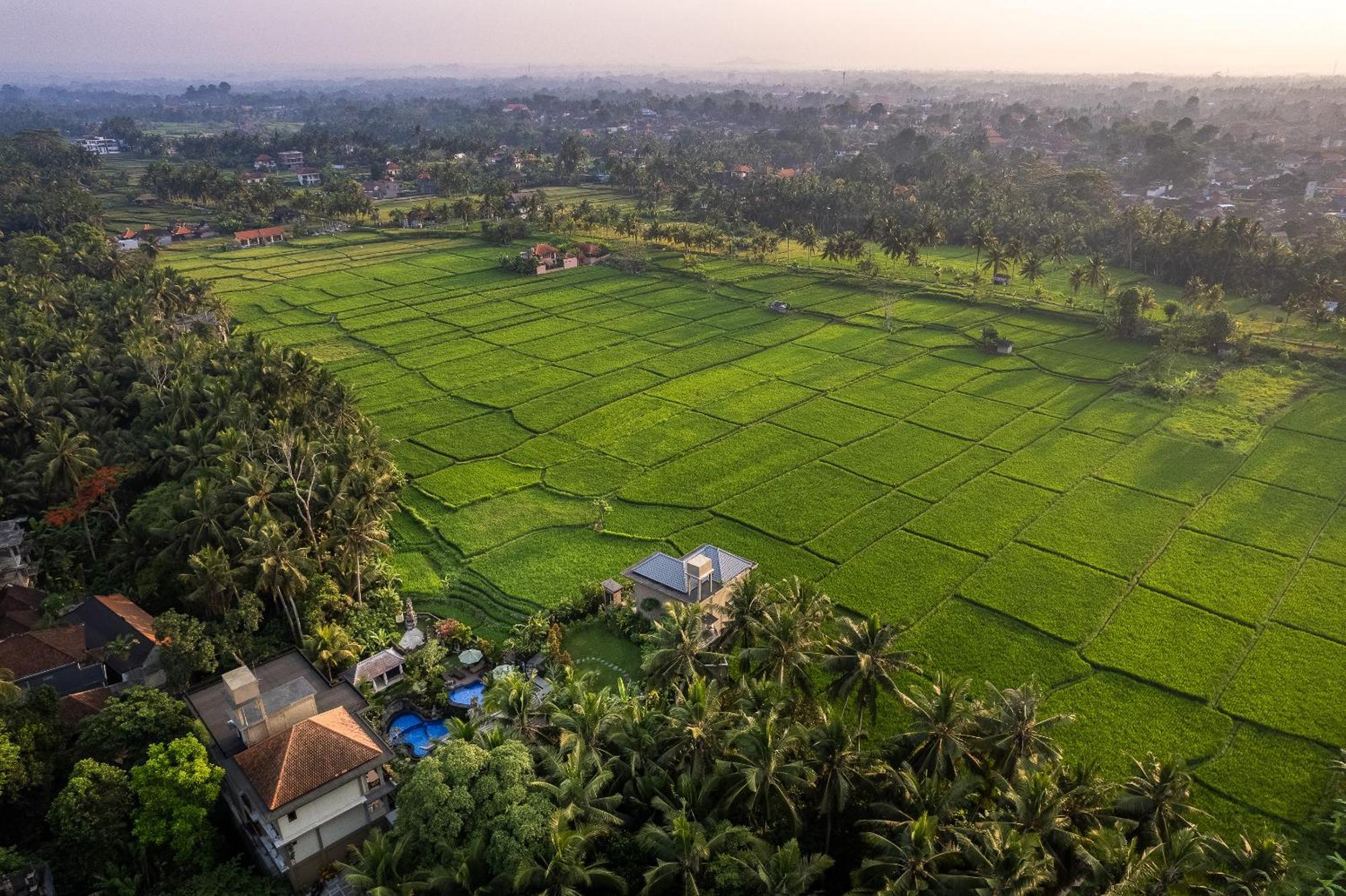 Gynandha Ubud Cottage Exterior foto